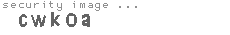 security image