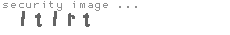 security image