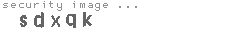 security image