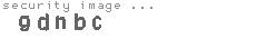 security image