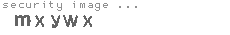 security image