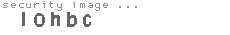 security image