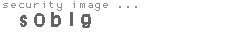 security image