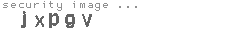 security image