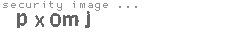 security image