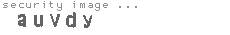 security image