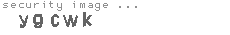 security image