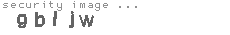 security image