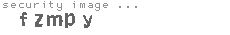 security image