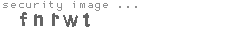 security image