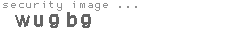 security image