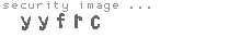 security image