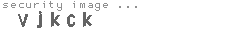 security image