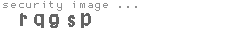 security image