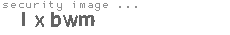 security image