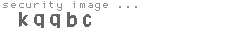 security image