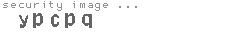 security image