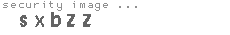 security image