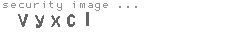 security image