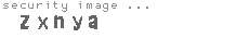 security image