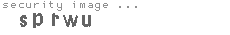 security image