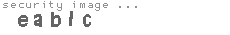 security image