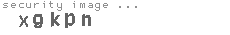 security image