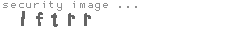 security image