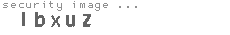 security image