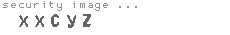 security image