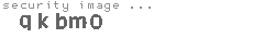 security image