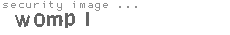 security image