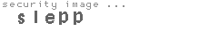 security image