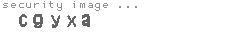 security image