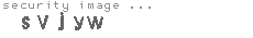 security image
