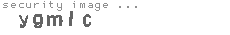 security image