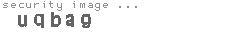security image
