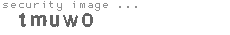 security image