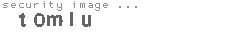 security image