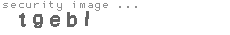 security image