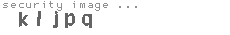 security image