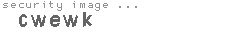 security image