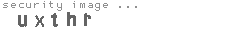 security image