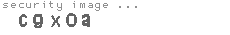 security image