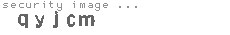 security image