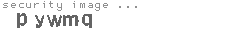 security image