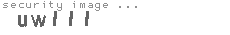 security image