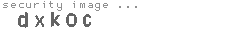 security image