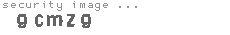 security image