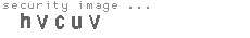security image